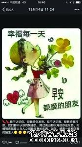 女子網(wǎng)購(gòu)加菲貓收到死貓賣(mài)家：找警察也沒(méi)用