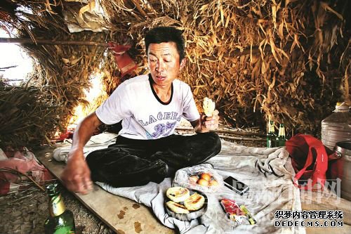 方立平在山上用玉米秸稈搭了一個(gè)窩棚，中午可以在里面吃飯、休息。