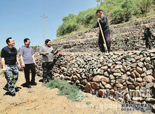 工作組來到村民的地里查看山楂樹長勢。 本報記者 馬衛(wèi)慶 攝