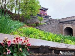 最新！秦皇島這14家景區(qū)將陸續(xù)開(kāi)放